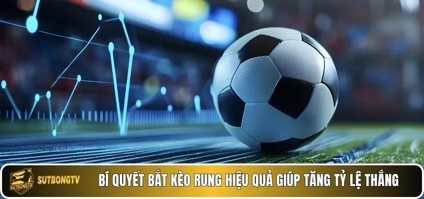 Bí quyết bắt kèo rung hiệu quả giúp tăng tỷ lệ thắng. 