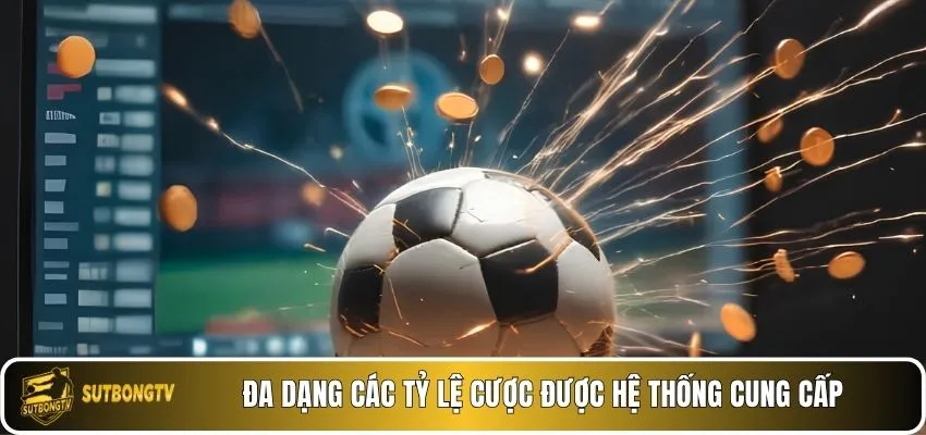 Đa dạng các tỷ lệ cược được hệ thống cung cấp