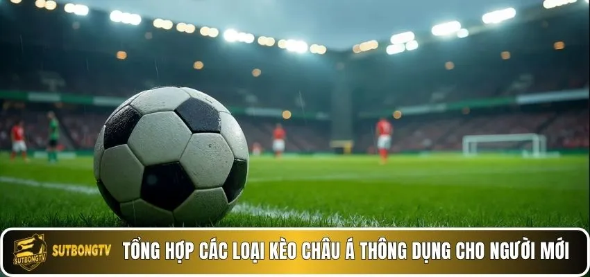 Tổng hợp các loại kèo châu á thông dụng cho người mới.