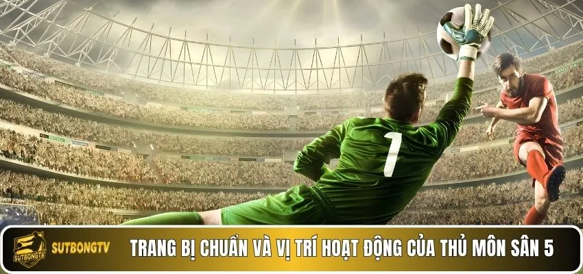 Trang bị chuẩn và vị trí hoạt động của thủ môn sân 5.