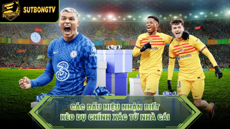 Các dấu hiệu nhận biết kèo dụ chính xác từ nhà cái.