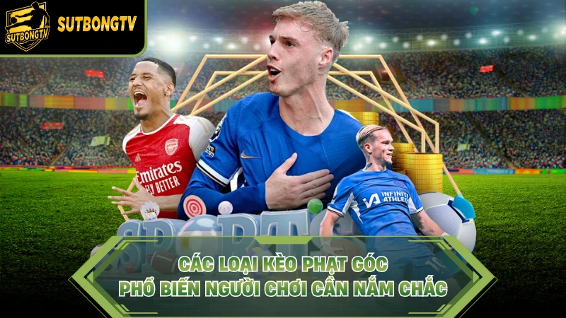 Các loại kèo phạt góc phổ biến người chơi cần nắm chắc.
