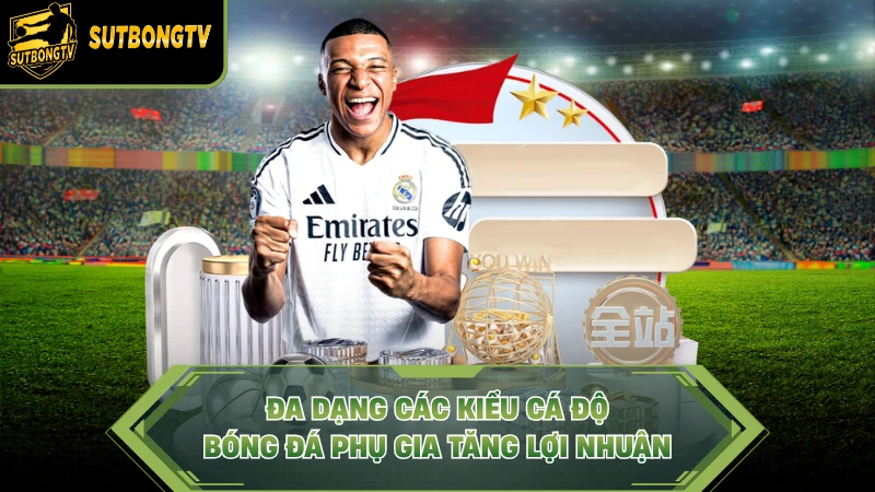 Đa dạng các kiểu cá độ bóng đá phụ gia tăng lợi nhuận