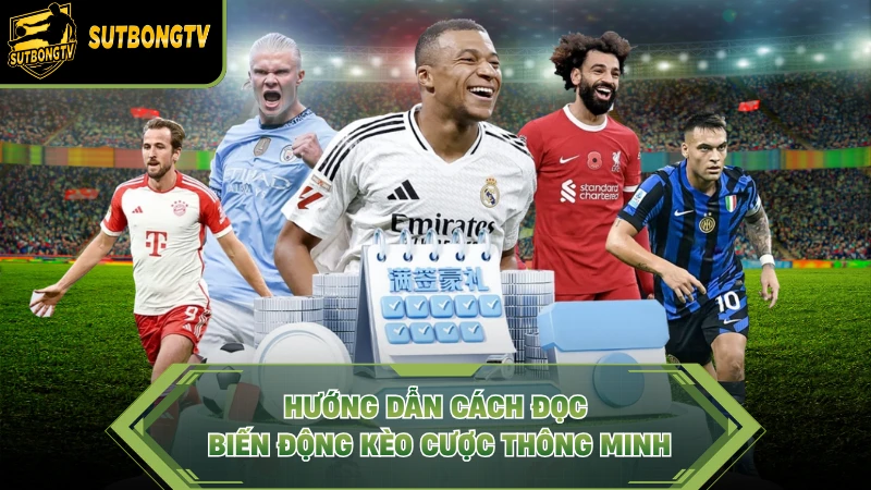 Hướng dẫn cách đọc biến động kèo cược thông minh