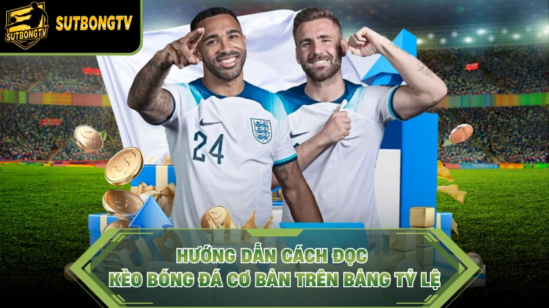 Hướng dẫn cách đọc kèo bóng đá cơ bản trên bảng tỷ lệ.