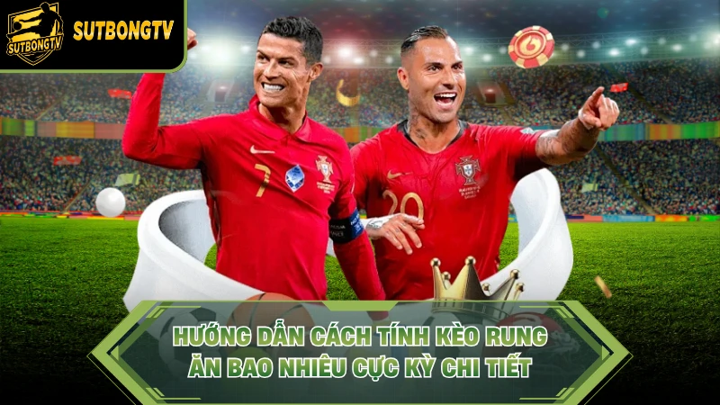 Hướng dẫn cách tính kèo rung ăn bao nhiêu cực kỳ chi tiết