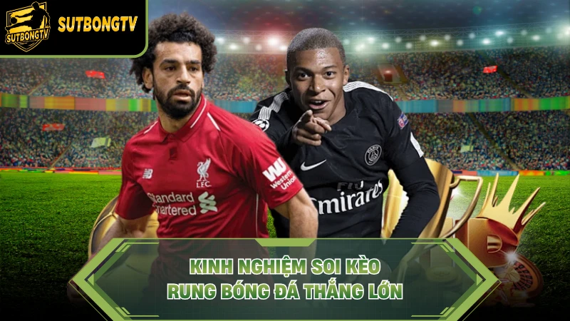 Kinh nghiệm soi kèo rung bóng đá thắng lớn