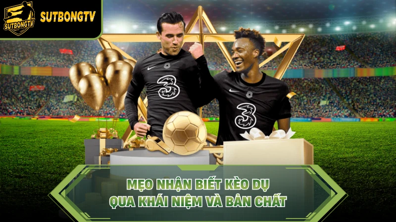 Mẹo nhận biết kèo dụ qua khái niệm và bản chất.