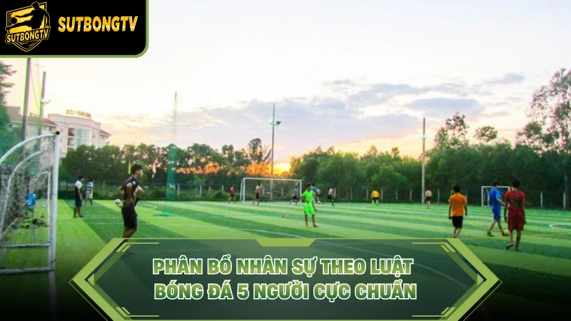 Phân bổ nhân sự theo luật bóng đá 5 người cực chuẩn