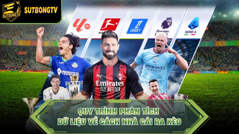 Quy trình phân tích dữ liệu về cách nhà cái ra kèo.