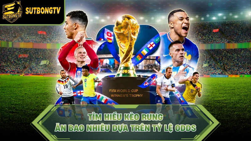 Tìm hiểu kèo rung ăn bao nhiêu dựa trên tỷ lệ Odds