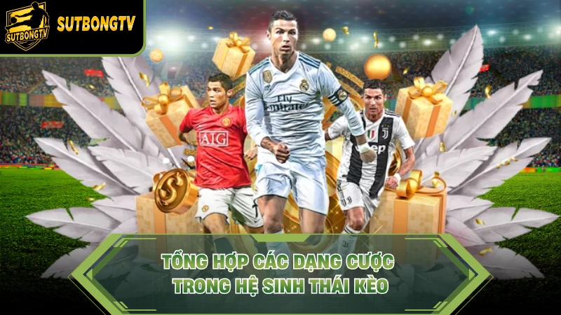 Tổng hợp các dạng cược trong hệ sinh thái kèo