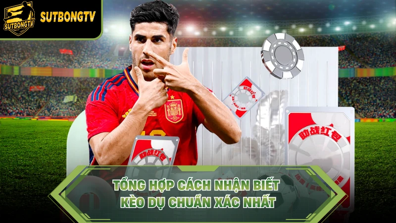 Tổng hợp cách nhận biết kèo dụ chuẩn xác nhất.