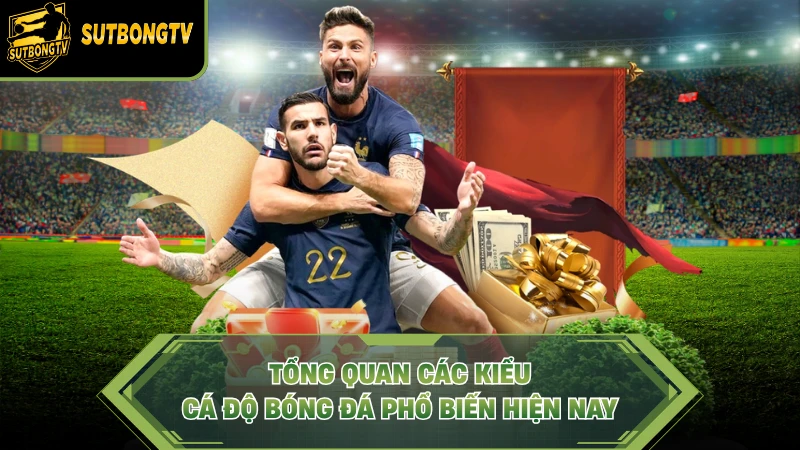 Tổng quan các kiểu cá độ bóng đá phổ biến hiện nay