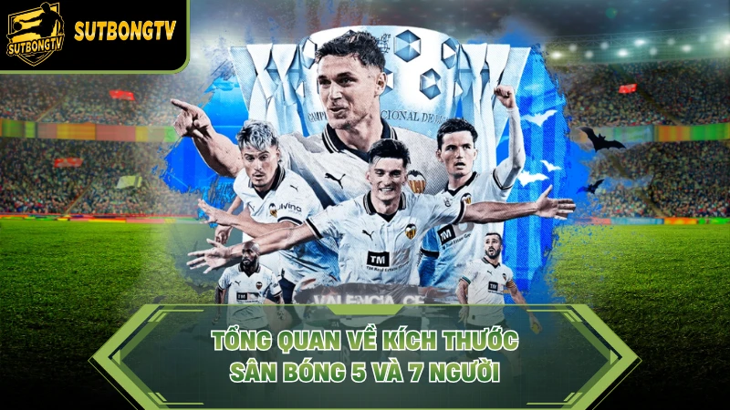 Tổng quan về kích thước sân bóng 5 và 7 người